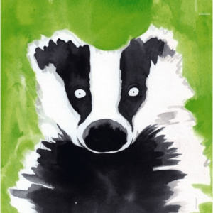 Badger Greeting Card