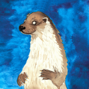 Otter Greeting Card
