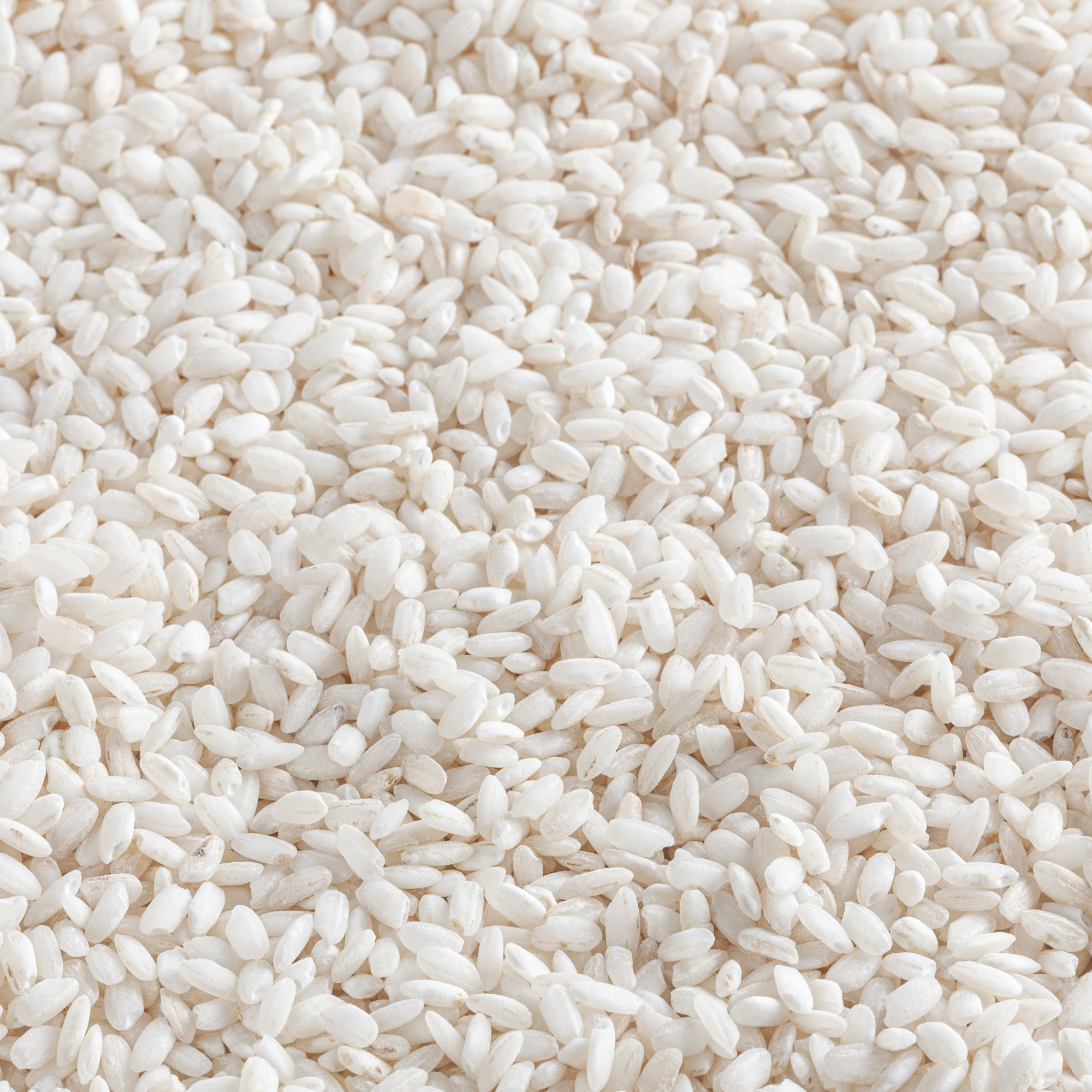 Organic Arborio Rice