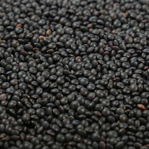 Organic Black (Beluga) Lentils