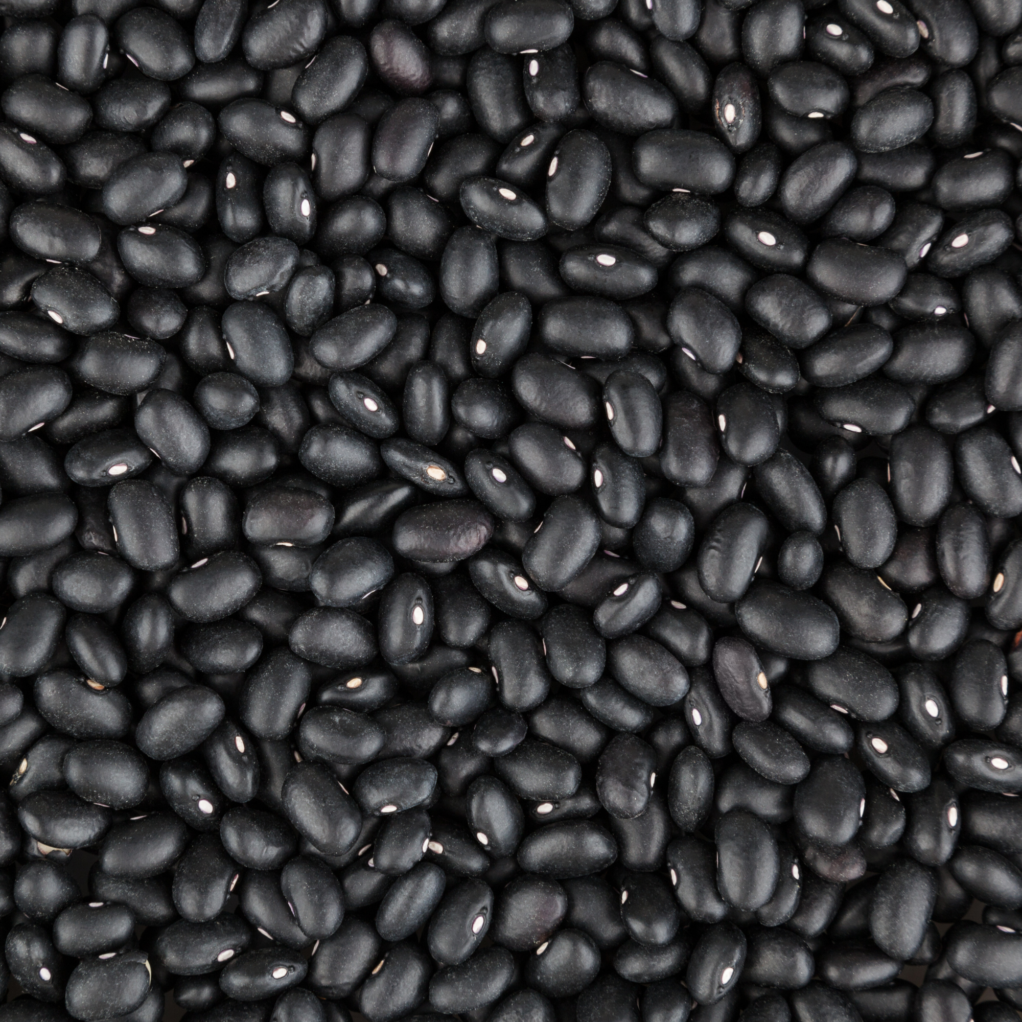 Organic Black Beans