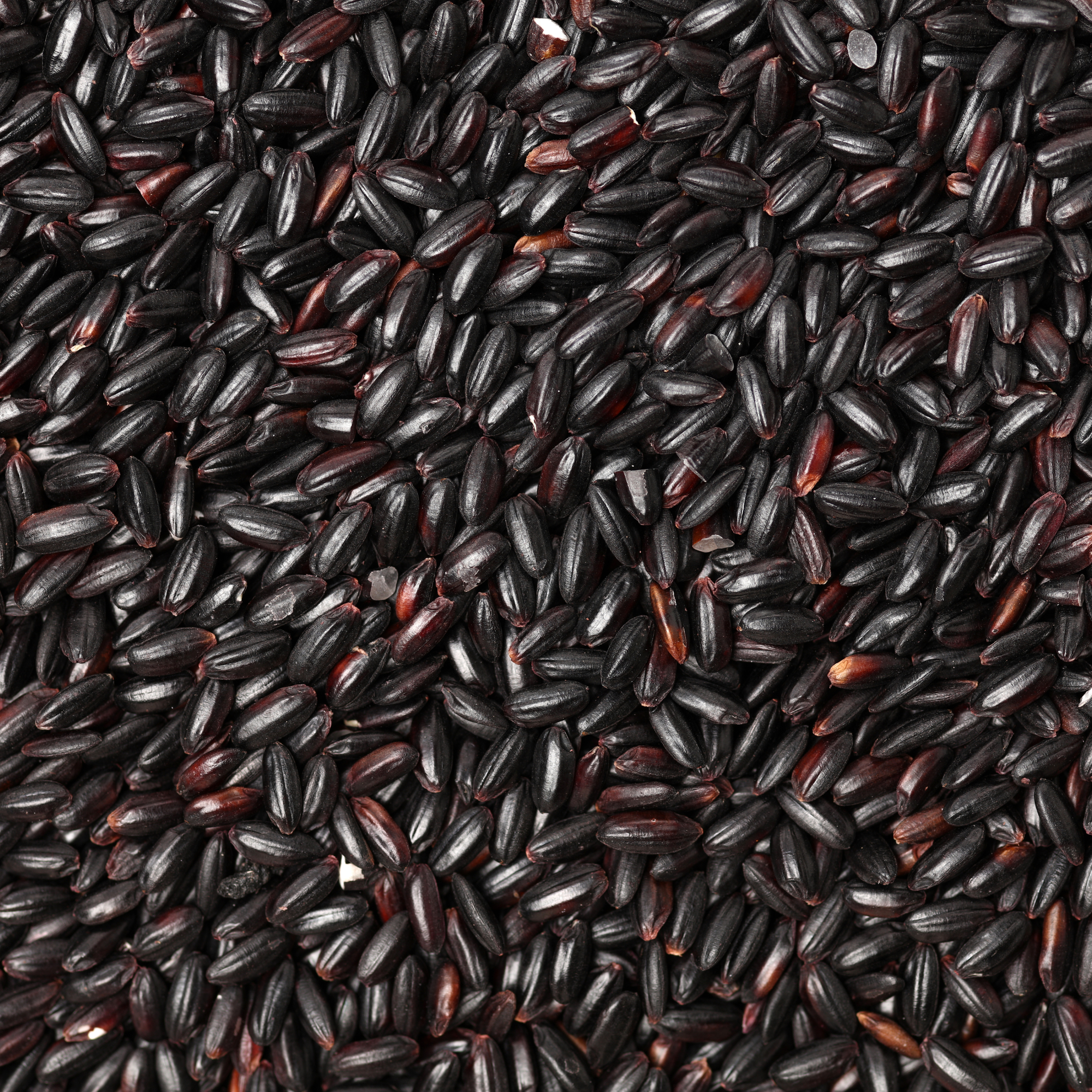 Organic Black Rice