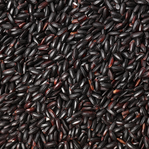 Organic Black Rice