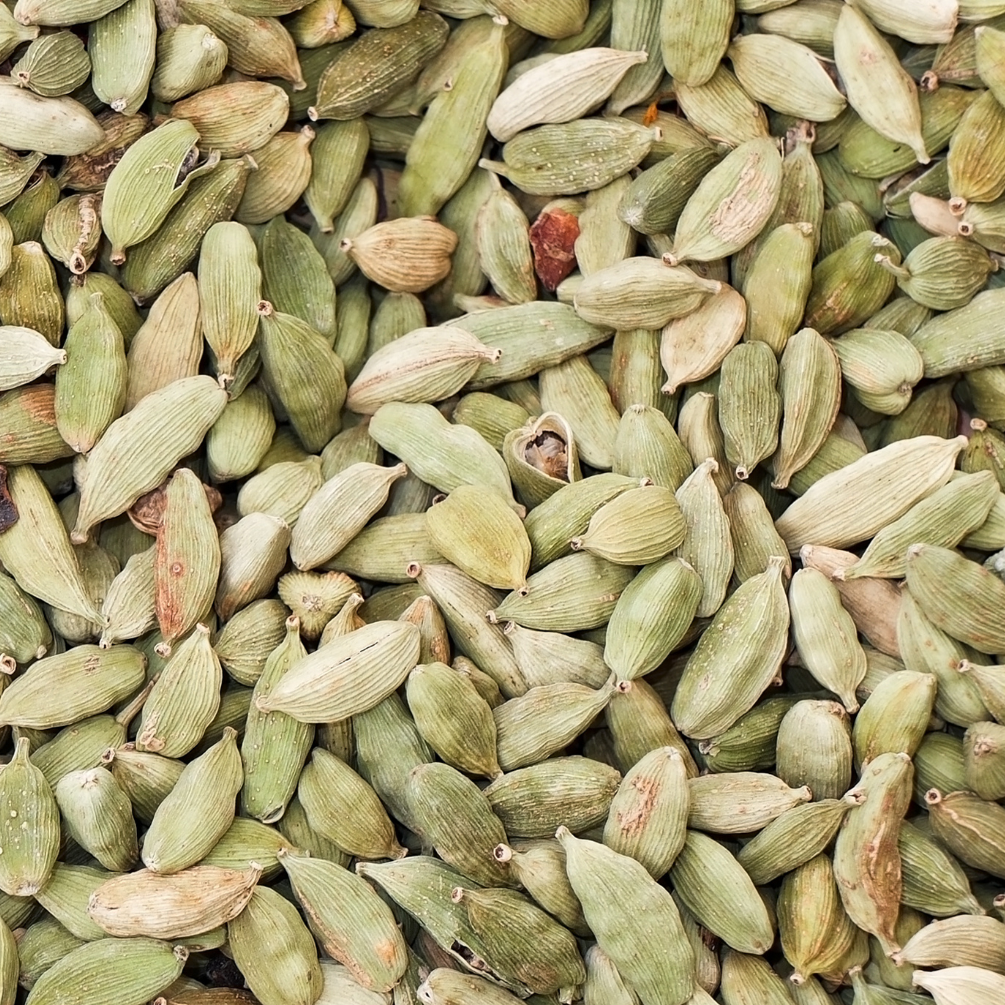 Cardamom Pods