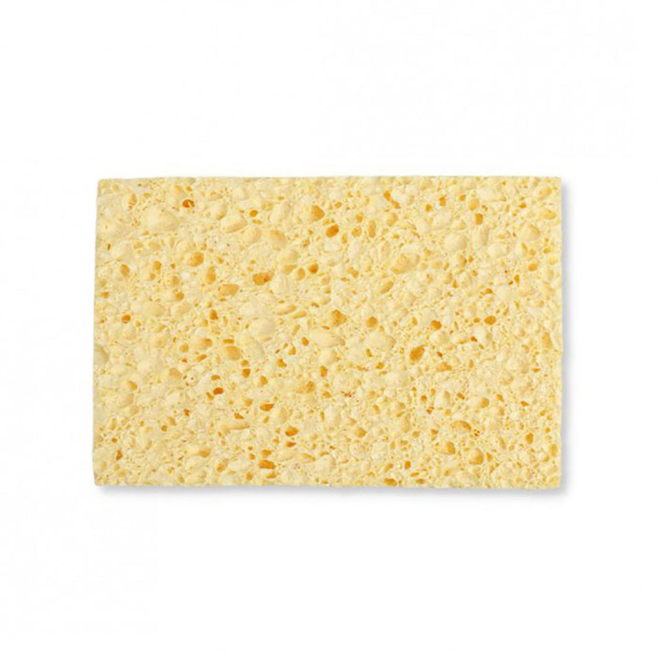 A Slice of Green Cellulose Kitchen Sponge