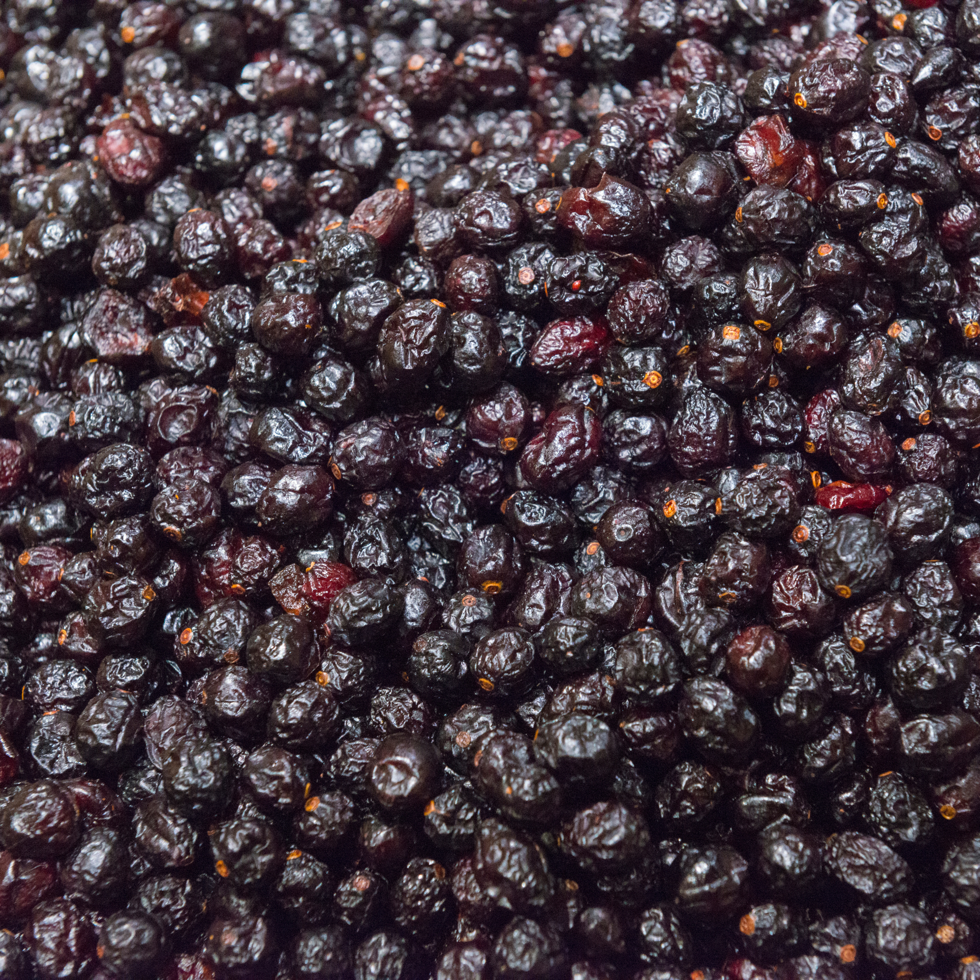 Organic Currants