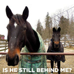 Load image into Gallery viewer, Refill Therapy@Kilo Gift Card
