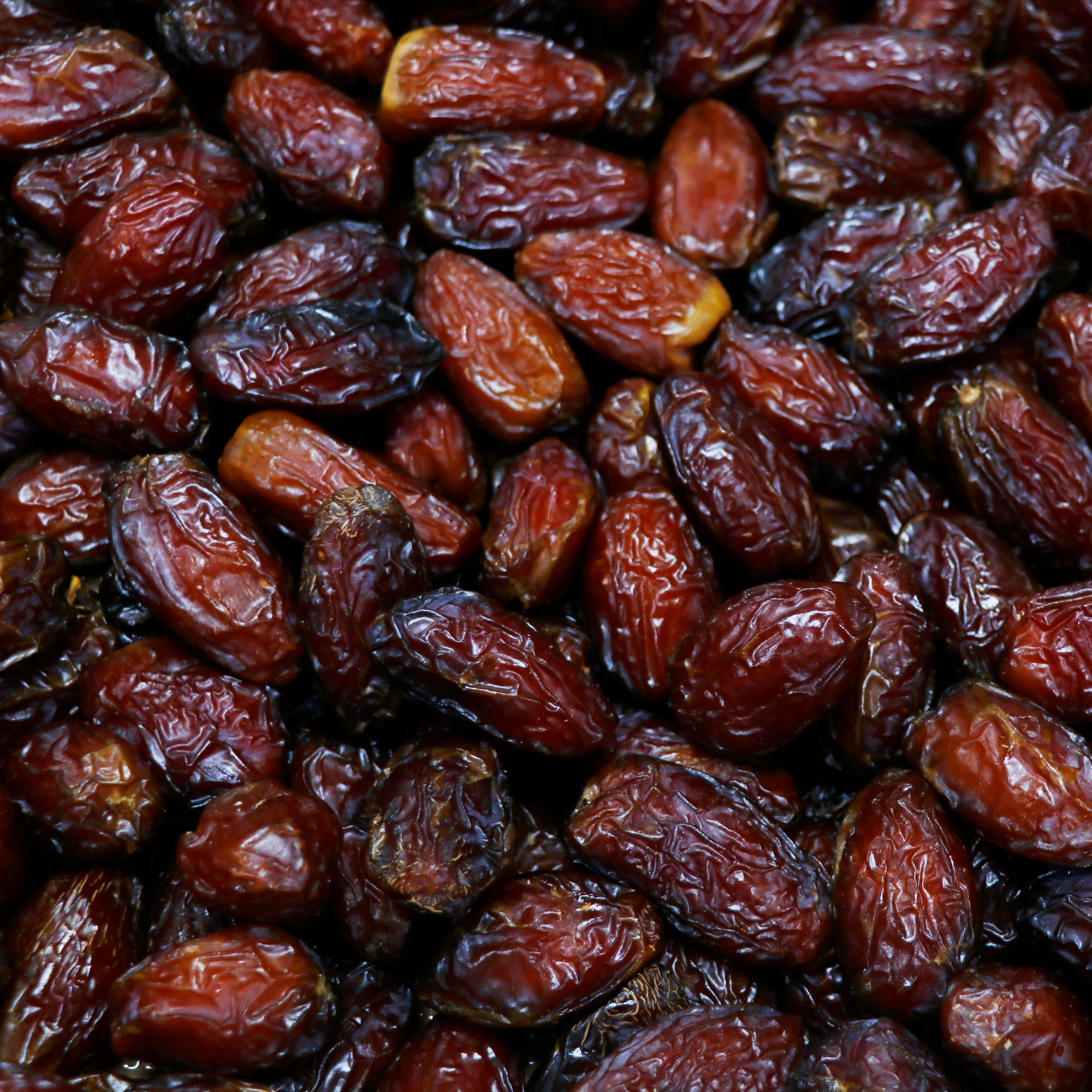 Medjool Dates