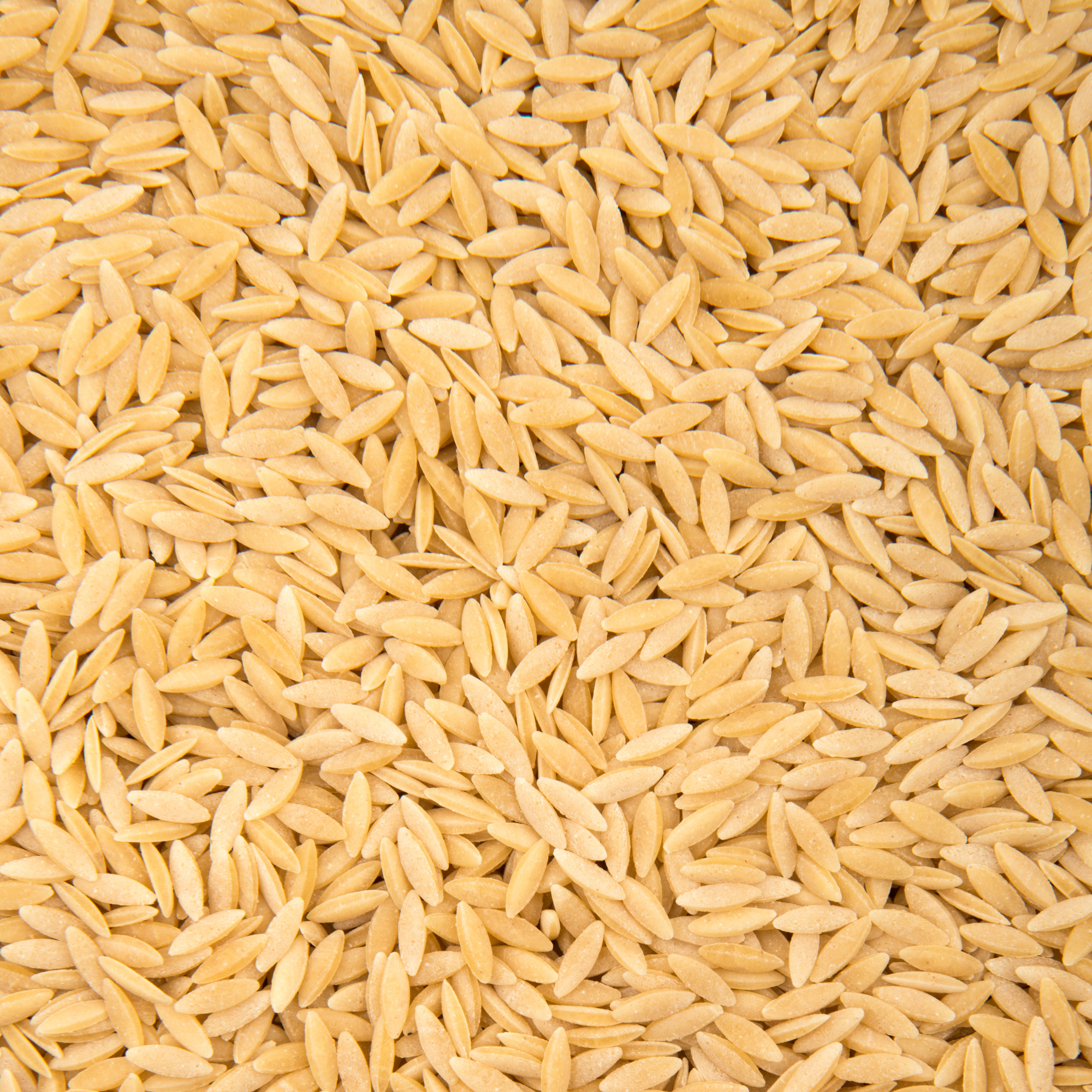 Orzo