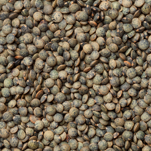 Organic French (Puy Type) Lentils