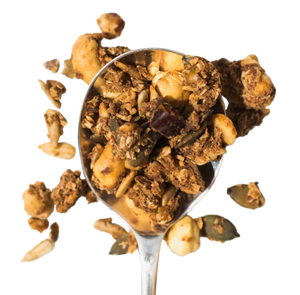 Org Vegan GF Organic & Nutty Granola