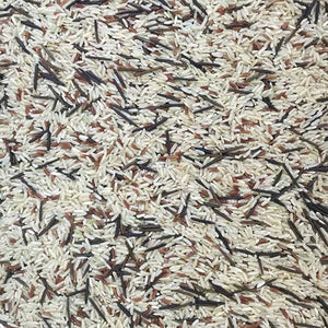 Organic Wild Rice Mix